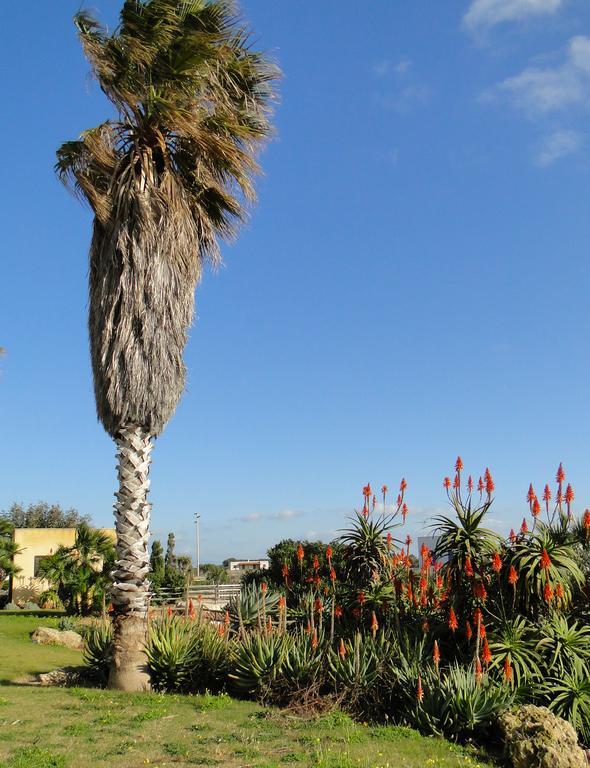 Il Giardino Delle Aloe Guest House Favignana Exterior photo