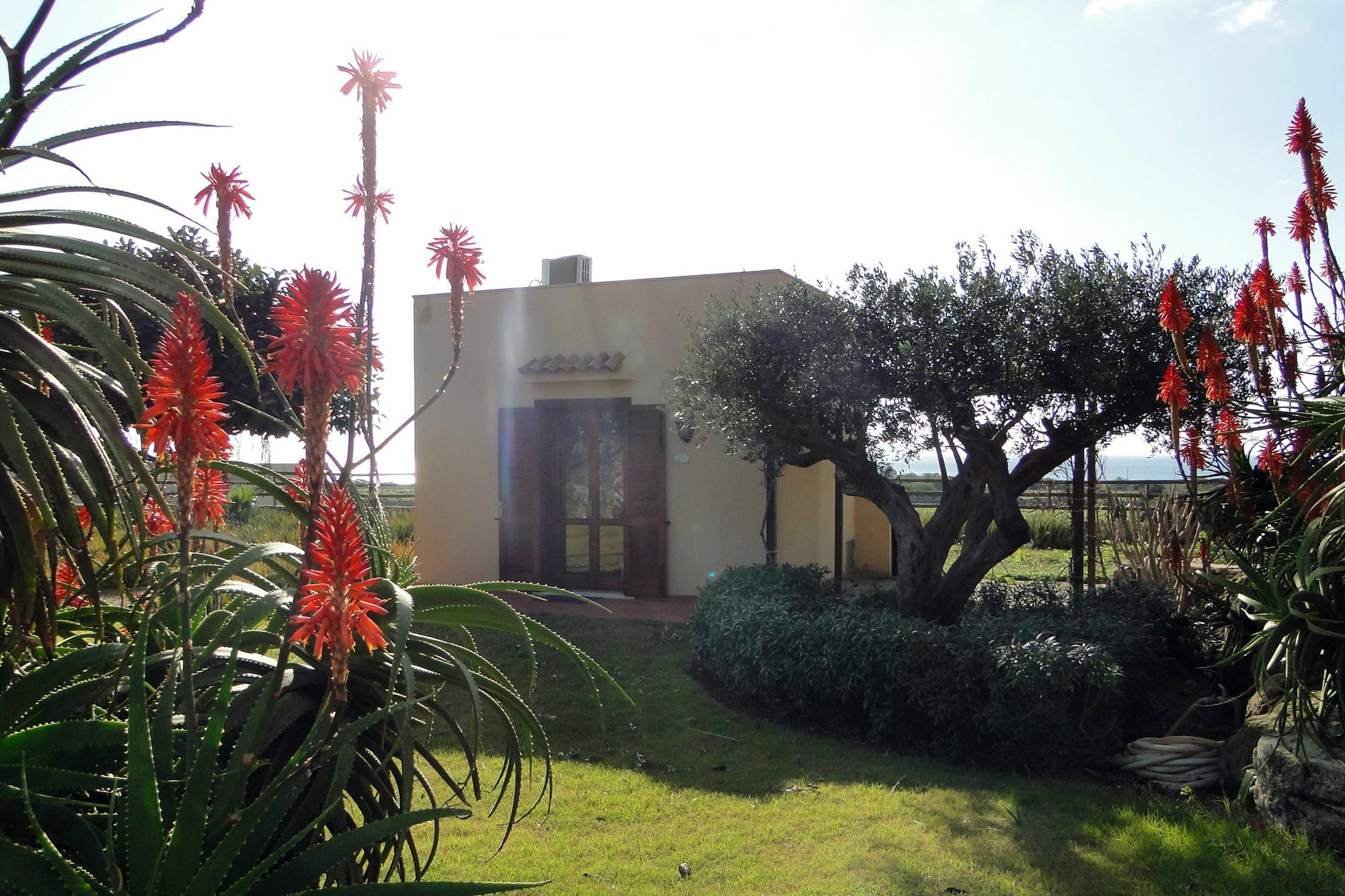 Il Giardino Delle Aloe Guest House Favignana Exterior photo